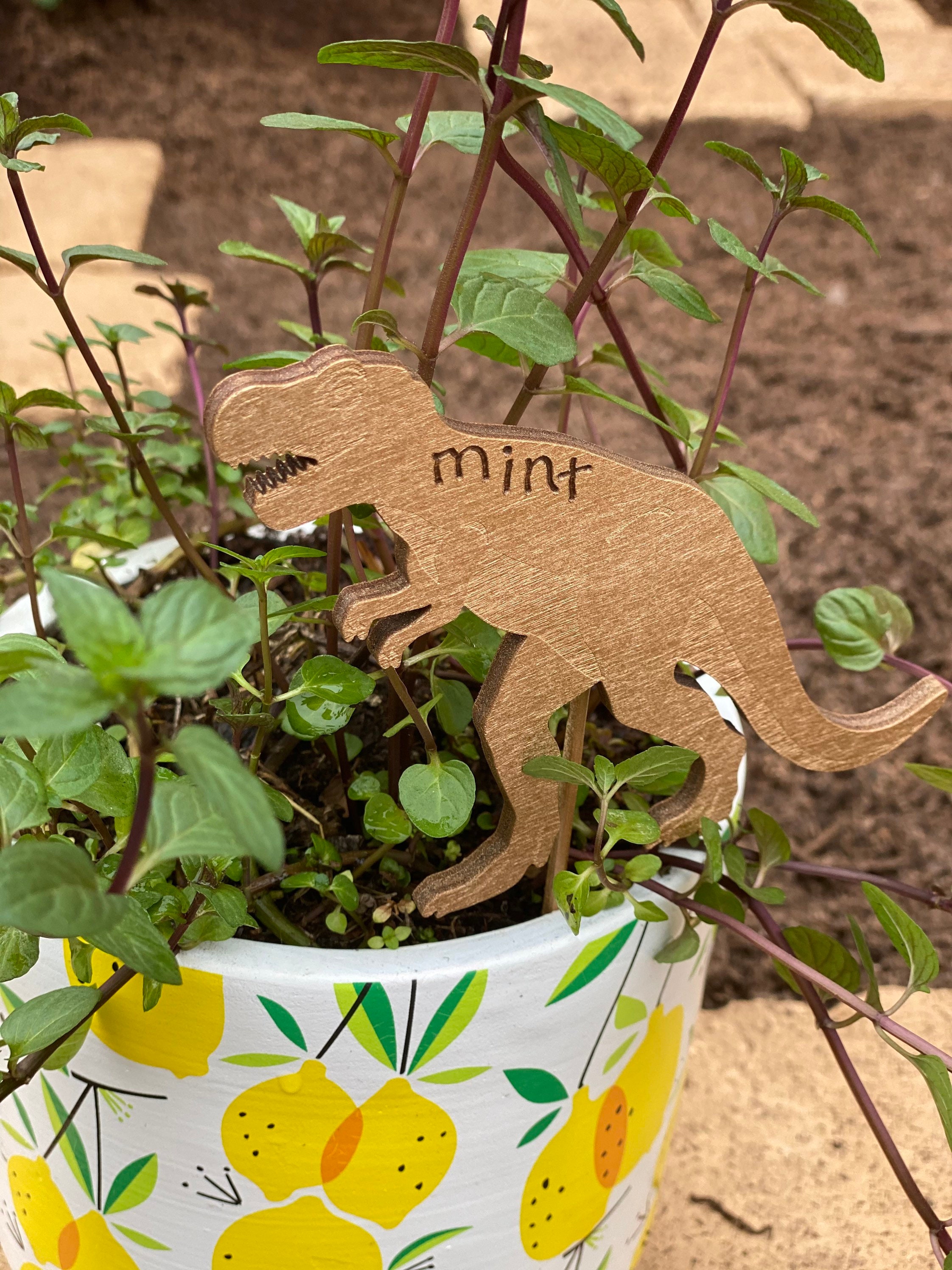 Große Muttertagsgeschenk Pflanze Garten Marker Holz Etsy