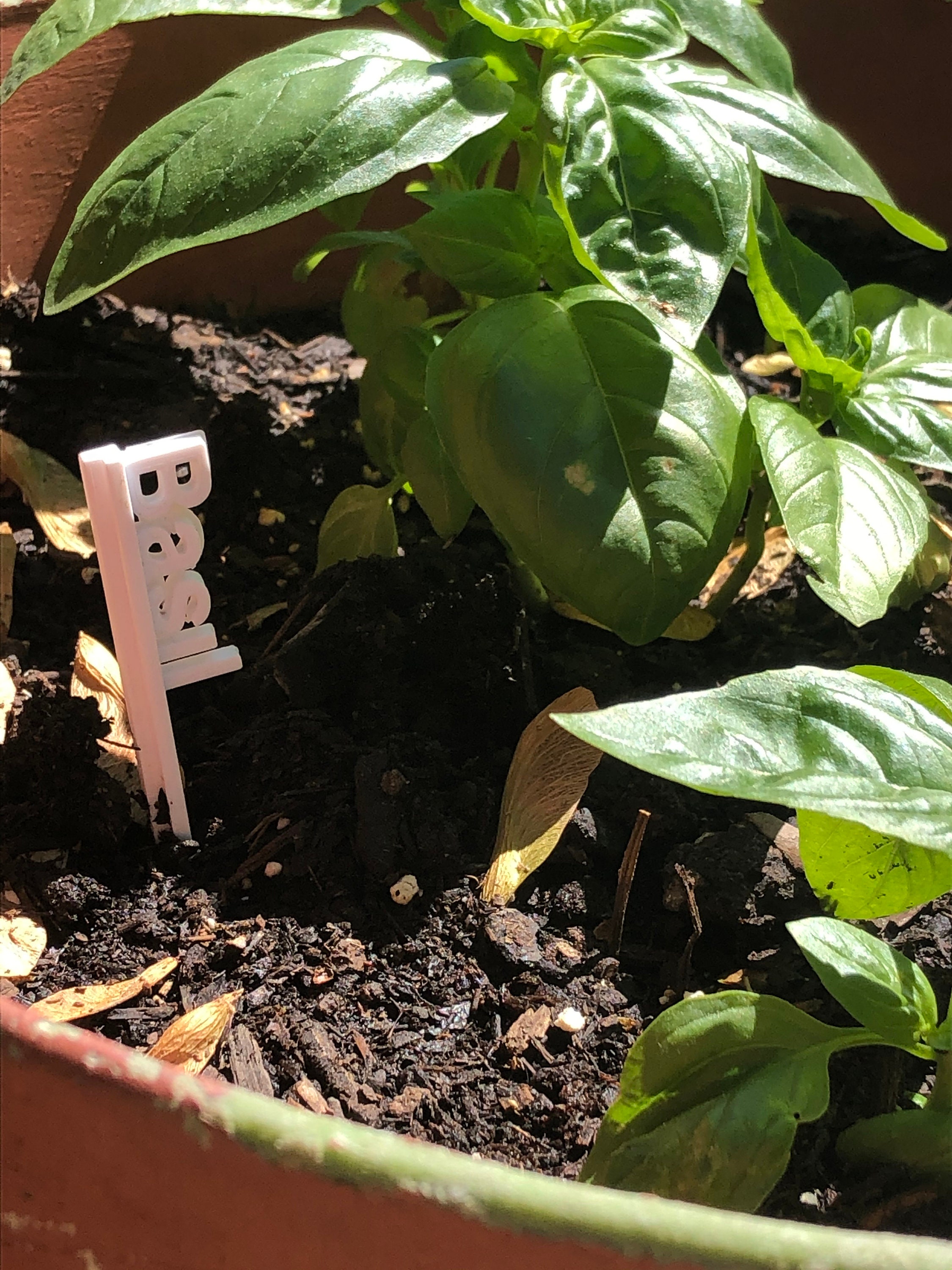 Customizable Plant Signs 3 Pack Etsy UK