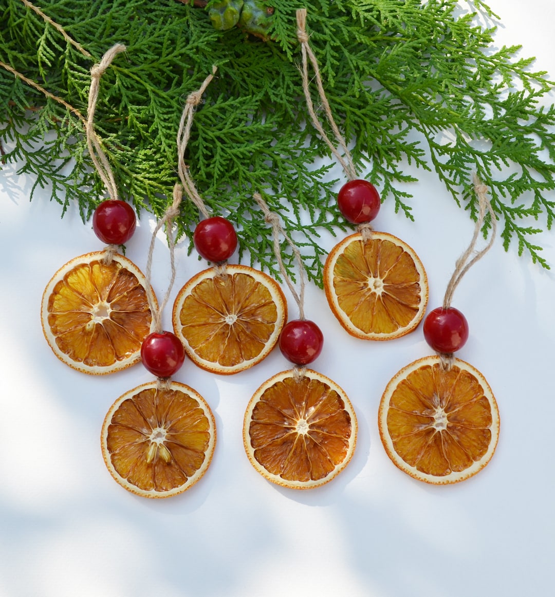 Set of 6 Citrus Ornaments, Dried Fruit, Christmas Tree Ornament