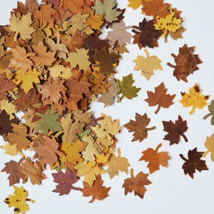 May include: A pile of brown, yellow, and orange maple leaves scattered on a white background. The leaves are various sizes and shapes, with some having a more defined vein pattern than others.