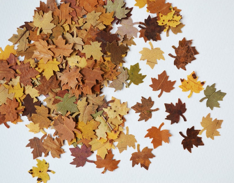 May include: A pile of brown, yellow, and orange maple leaves scattered on a white background. The leaves are various sizes and shapes, with some having a more defined vein pattern than others.