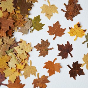 May include: A pile of brown, yellow, and green maple leaves on a white background. The leaves are scattered in a random pattern, with some leaves overlapping others.