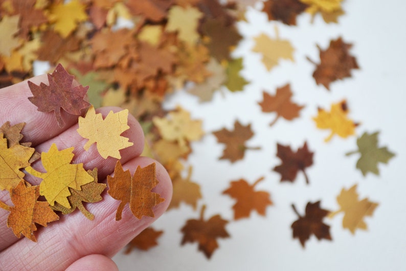 May include: A hand holding a pile of small, paper maple leaves in various shades of brown, yellow, and orange. The leaves are scattered on a white surface.