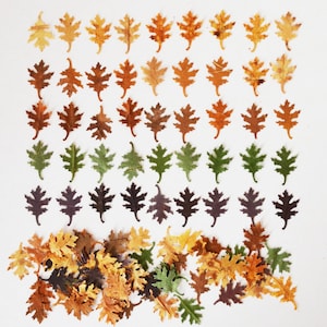 May include: A collection of dried oak leaves arranged in a gradient pattern, transitioning from orange to green to purple. The leaves are scattered at the bottom of the image.