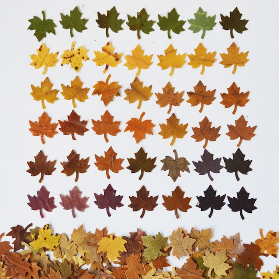 Mini Dried Autumn Leaves, Leaf Confetti, Craft Supplies