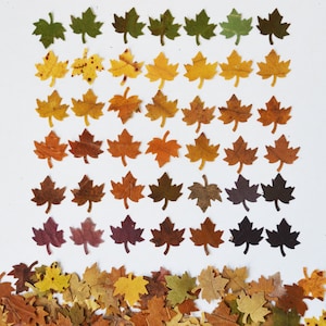 May include: A collection of autumn leaves arranged in rows, transitioning from green to brown to purple. The leaves are arranged in a gradient pattern, with the green leaves at the top and the purple leaves at the bottom. The leaves are all different shapes and sizes, and they are all arranged in a symmetrical pattern.