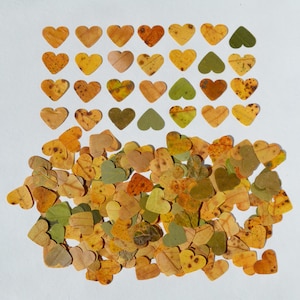 May include: A collection of heart-shaped cutouts made from natural leaves in various shades of yellow, orange, brown, and green. The hearts are arranged in a neat grid at the top and a loose, scattered pile at the bottom, showcasing natural textures.