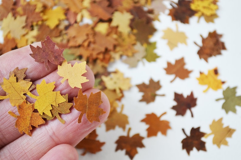 May include: A hand holding a collection of small, paper maple leaves in various shades of brown, yellow, and orange. The leaves are scattered on a white surface.