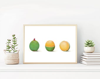 Quenepas Poster/ Quenepas Drawing/ Guinep/ Caribbean Fruit/ Mamoncillo