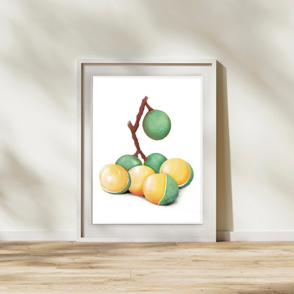Fruit Art/Quenepas Drawing/ Puerto Rico/Guinep/ Caribbean Fruit/ Tropical/ Print/ Poster/Mamoncillo/Guinep
