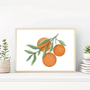 Orangen Zeichnung Poster/ Botanische Kunst/Citrus