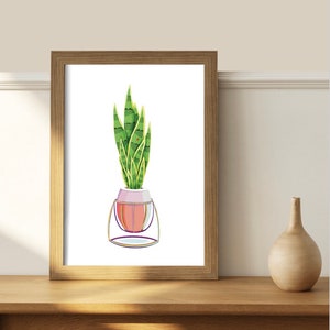 Pôster de arte de planta de pia/ Desenho de planta de cobra/ Decoração de casa/ Arte de parede/ Arte botânica