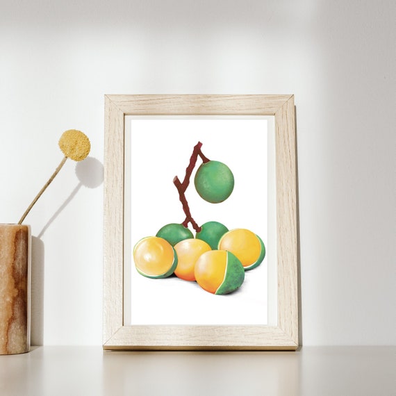 Quenepas Art Print: Caribbean Fruit Poster - Etsy