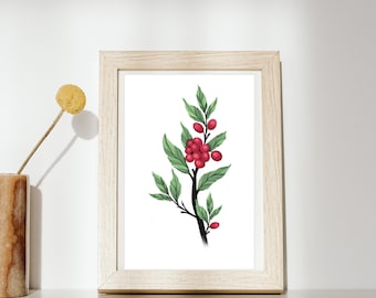 Coffee Plant Poster/ Botanical Art
