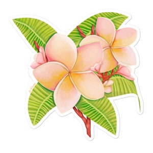 Plumerias Bubble-free Aufkleber/Botanische Kunst
