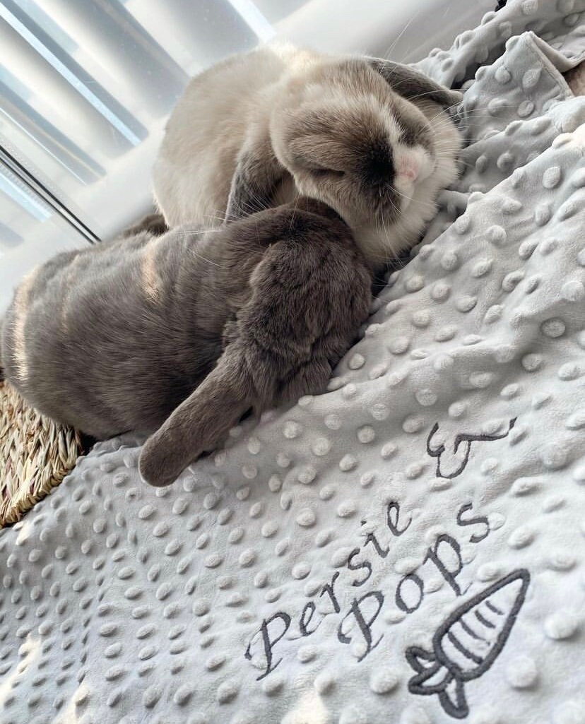Personalised Rabbit Blanket Bunny Blanket personalised Etsy