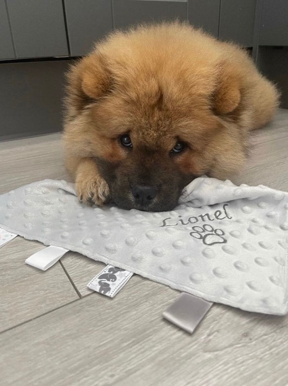 Personalised Pet Taggie Blanket Comforters for Pets Security Blanket New Puppy Dog Kitten Personalized Gifts for Pets Taggy Comforter Etsy
