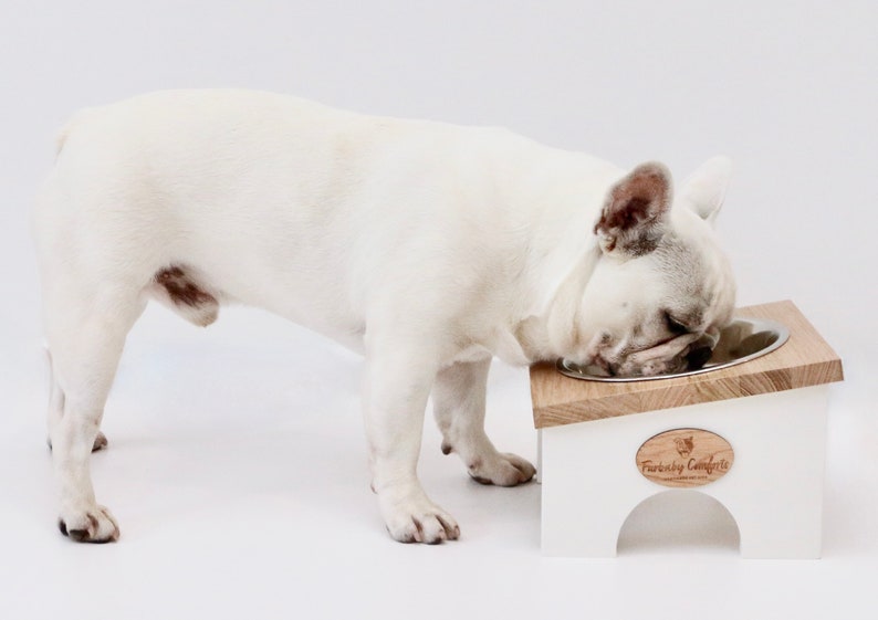 Elevated Dog Bowl Stand for Flat Face/shorts Snout Breeds Single Bowl