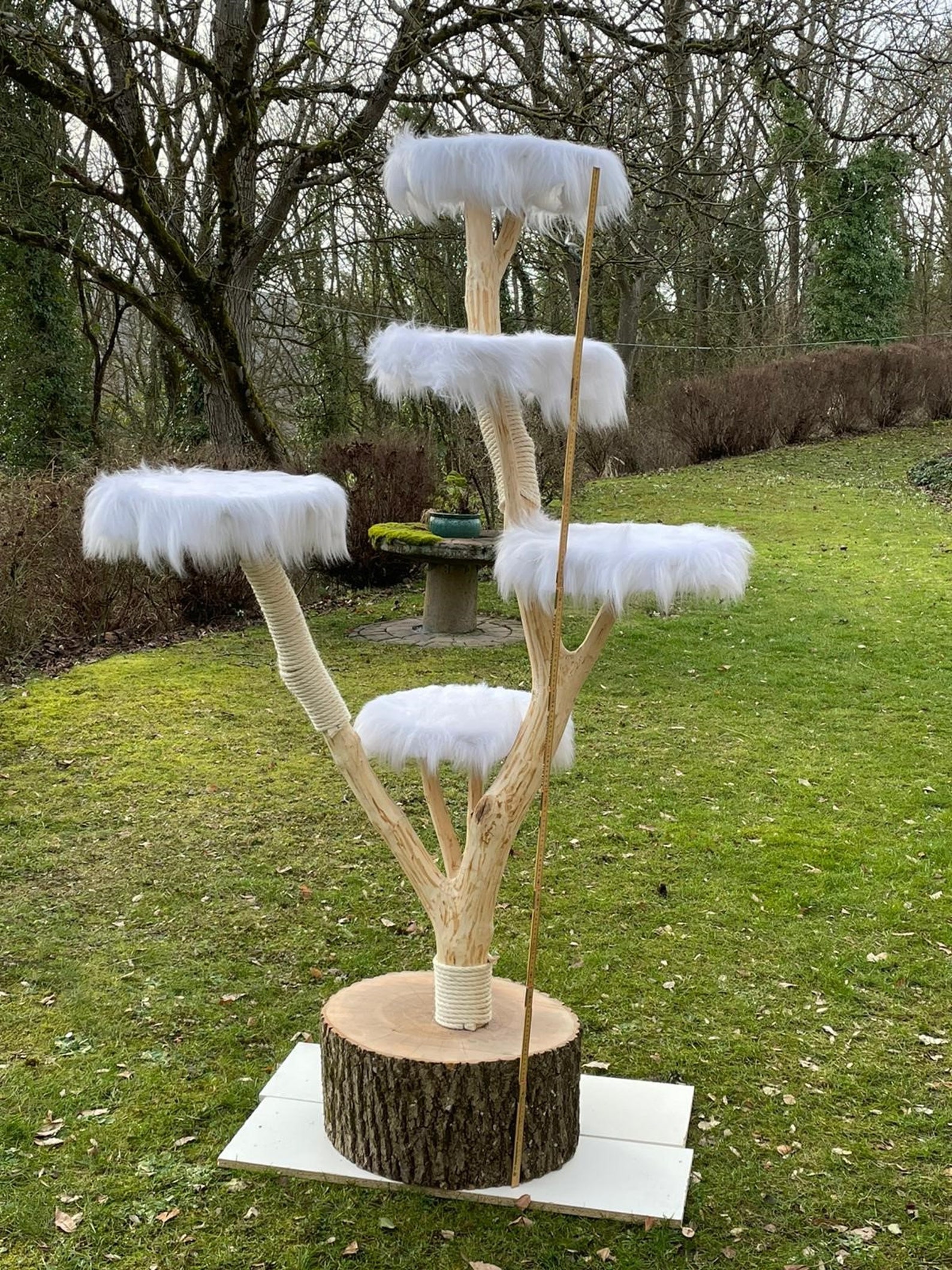 Naturholz Katzenbaum / Kratzbaum Etsy