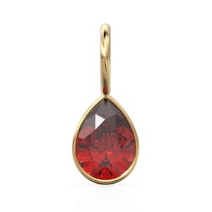 May include: A gold pendant featuring a red teardrop-shaped gemstone.
