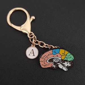 Può includere: Portachiavi color oro con moschettone, catena e due ciondoli. Un ciondolo è un cerchio bianco con la lettera "A". L'altro è un diagramma colorato del cervello con sezioni rosa, blu, gialle e verdi.