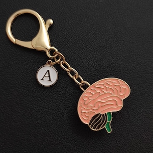 May include: A gold-coloured keychain featuring a brain charm. The brain charm is pink with brown and green detailing. A small white circular charm with the letter "A" is also attached.