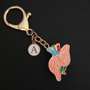 Pin personalizado con dije de bolsa de hígado de doble propósito