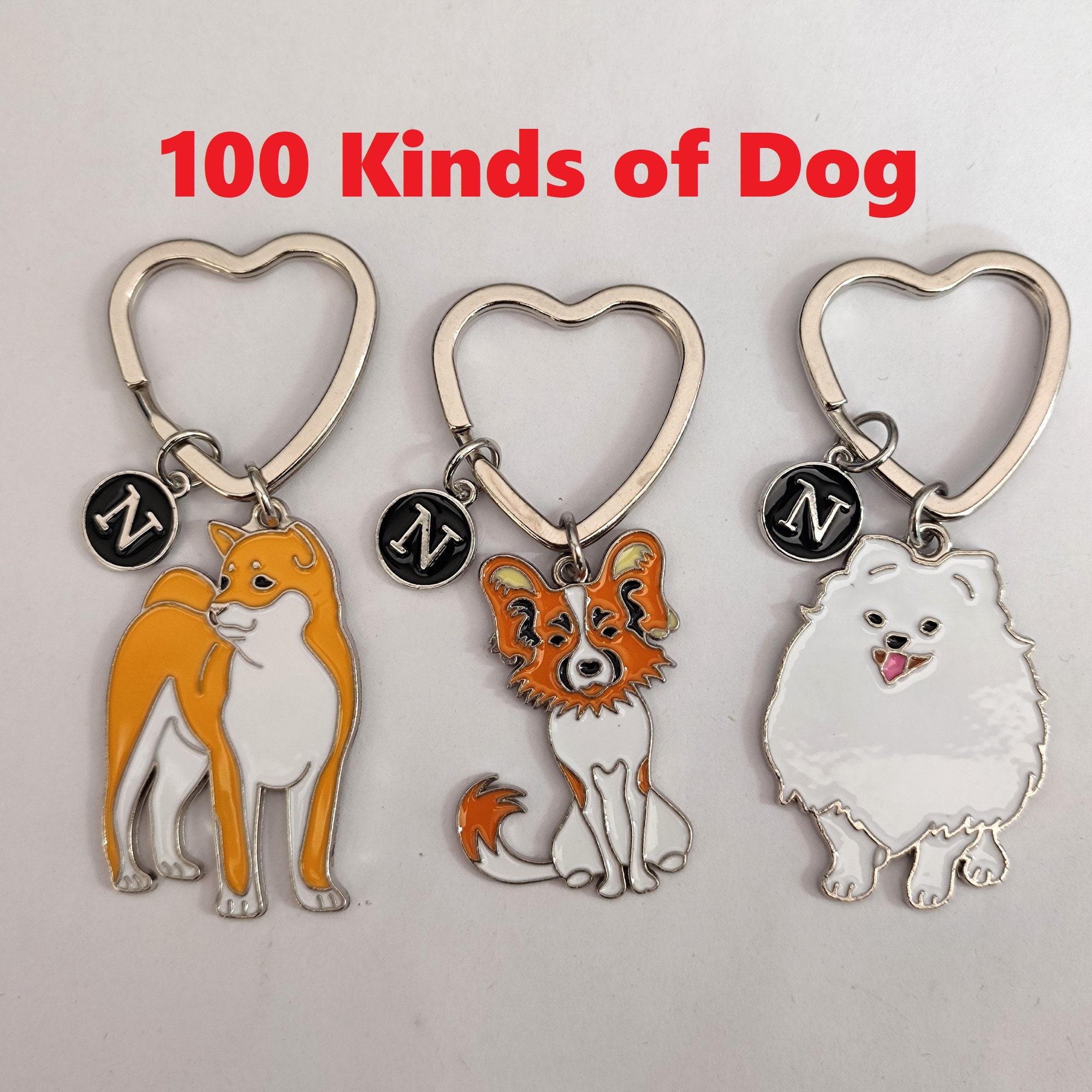 Portachiavi Cane Con Nome Personalizzato Labrador, Cavalier King Re Portachiavi Pelle Finta Regalo Uomo Regalo Mamma