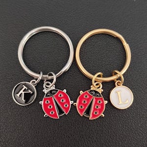 Cadeau personnalisé porte-clés coccinelle pour fille