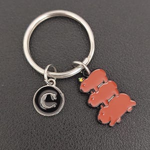 Könnte beinhalten: Ein silberner Schlüsselanhänger mit zwei Anhängern. Ein Anhänger ist ein schwarzer Kreis mit einem weißen "C". Der andere Anhänger ist ein Stapel von drei braunen Wasserschweinen mit einem kleinen gelb-grünen Detail oben.