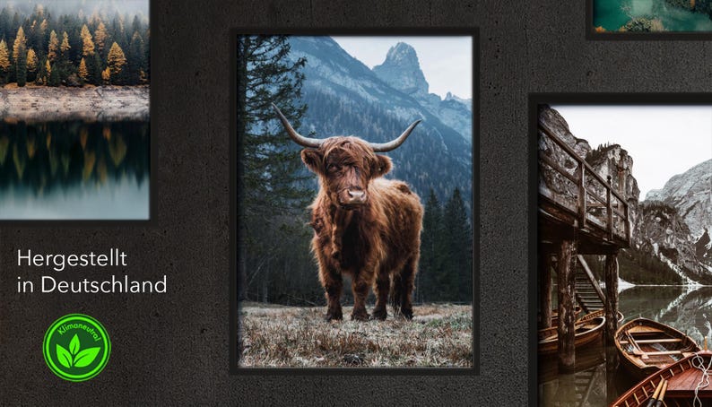 May include: A brown Highland cow stands in a field with a mountain range in the background. The cow is looking at the camera. The image is framed in a black frame.