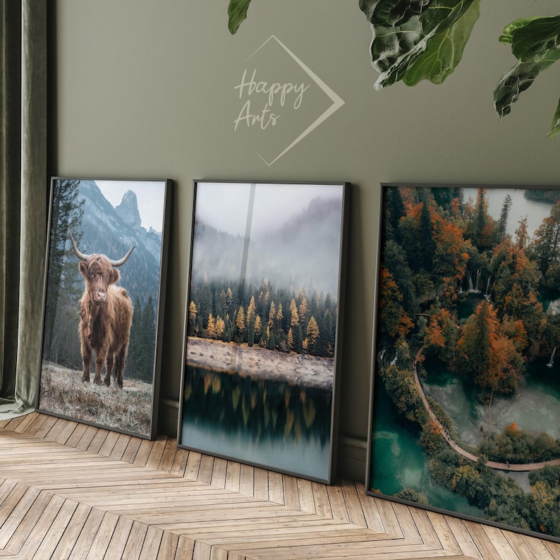 May include: Three framed landscape photographs. The first shows a brown highland cow standing in a field with mountains in the background. The second shows a misty forest reflecting in a lake. The third shows an aerial view of a forest with a winding path and a turquoise lake.