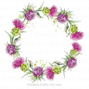 Moldura de cardo png, coroa de cardo png, clipart de sublimação, pngs escoceses, presentes da Escócia, lembranças das Terras Altas, gráficos, aquarela, arquivos