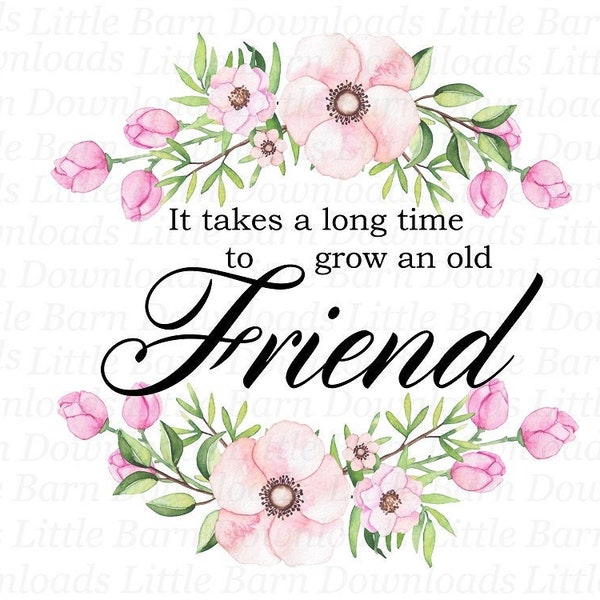 It Takes A Long Time To Grow An Old Friend, Friend Clipart, Friendship PNG, Sublimation Transfers, Pink Flowers
