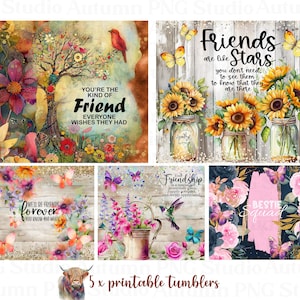 Bundle PNG ami, Clipart amitié, transferts Bestie, graphiques par sublimation, téléchargement immédiat, imprimables, cadeau pour un ami - BZ006