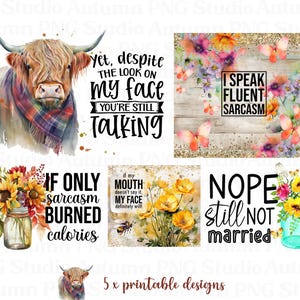 Sarcasme bundel PNG, sarcasme 20oz NAADLOZE bekers, grappige clipart, Instant Download, sublimatie Graphics - BZ036
