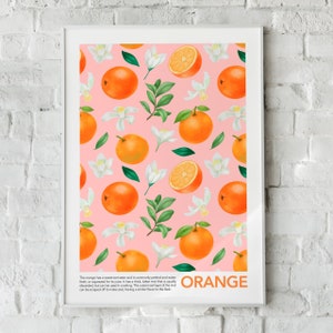 Orange Fruit Wall Art, Fruit Art Print, Home Decor