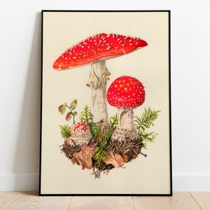 Vintage Mushroom Print Shroom Poster Wall Art - Etsy