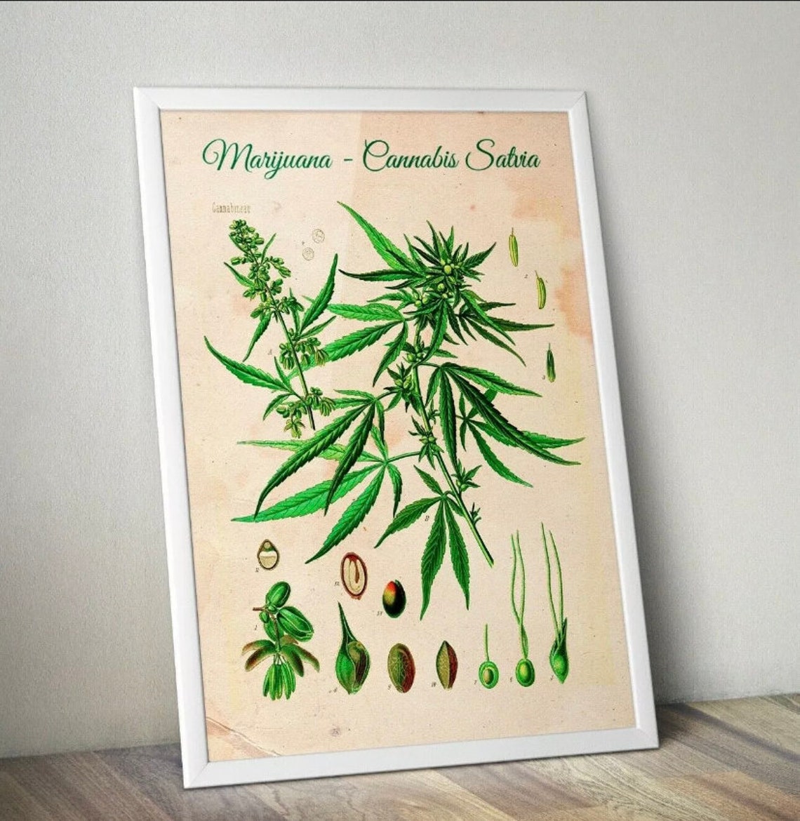 Cannabis Leaf Print Weed Poster Marijuana Poster Spliff Etsy
