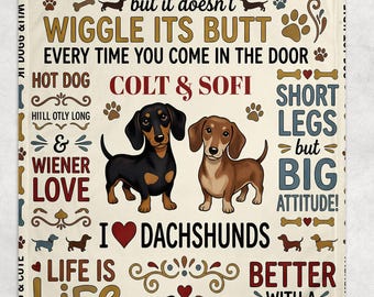 Personalized Dachshund Blanket, Custom Dog Lover Gift, Wiener Puppy, Cute Pet Memorial Keepsake, Cozy Family Name Blanket, Heartwarming Gift