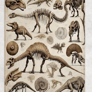 May include: A beige print displaying detailed illustrations of dinosaur skeletons and skulls. The artwork includes a variety of dinosaur species, showcasing their skeletal structures and fossilized remains. The print has a vintage aesthetic.