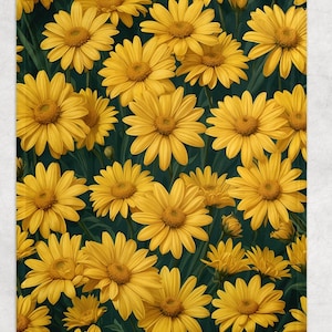 Girls super soft blanket, gilmore fan, girls gift, fleece blanket