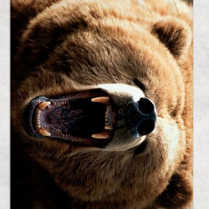 Bear Blanket / Bear Throw Blanket / Bear Fleece Blanket / Bear Cozy Blanket / Bear Adult Blanket / Bear Kid Blanket