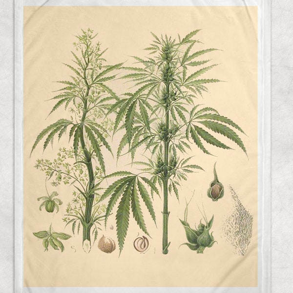 Cannabis Marijuana Weed Tapestry Wall Hanging Blanket - Use it as a Picnic Blanket,Fleece Throw Blanket, or Wall Tapestry