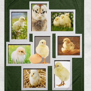 Chicken - A Little Chicken Blanket- Mink Blanket, Fleece Blanket,Special Blanket, Gift For Kid