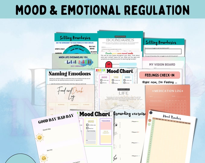 Mood and Emotional Regulation Workbook
