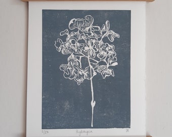 Original Art - Lino Print - Coloured Lino Print - Block Print - Hand Printed - Wall Art - Hydrangea - Plants