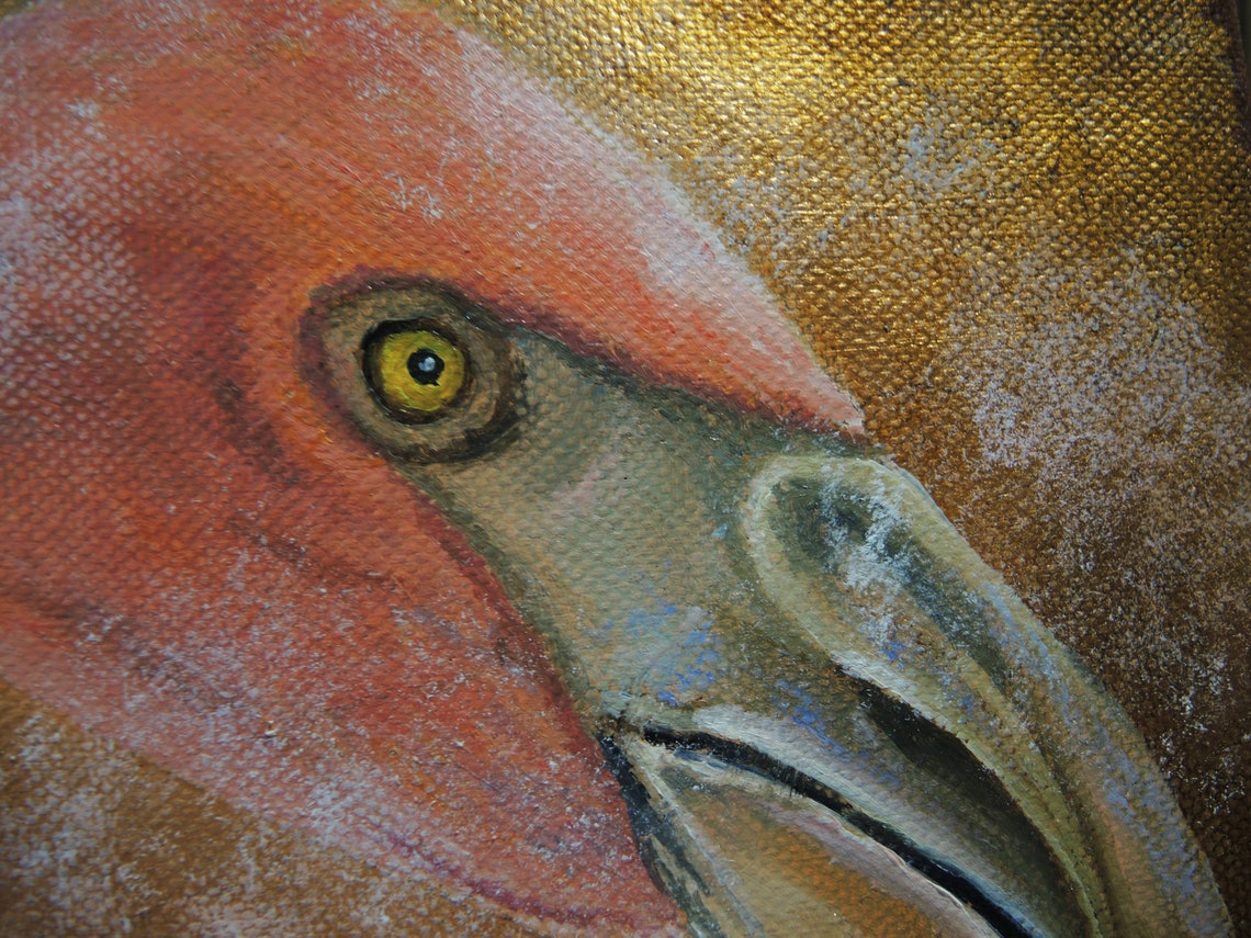 flamingo painting 1800s flamingo painting 1800s
