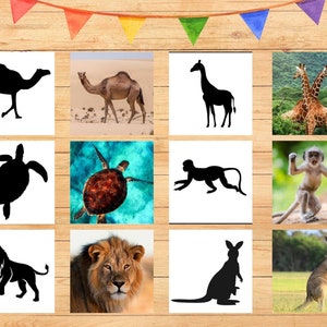 Montessori imprimible para niños pequeños Animal Shadow Matching Cards JPG Homeschool Pre-k Juego sensorial Silueta Sombra Naturaleza Descarga instantánea