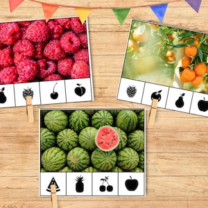 Montessori druckbare Obst Schatten passender Kleinkind Karten Farbabstimmung Pre-k Sinnesspiel Silhouette Schatten Natur